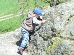 05-SchwammerlsteinRechberg2.jpg