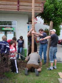 08 City_Maibaum 004.jpg