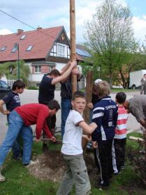08 City_Maibaum 005.jpg