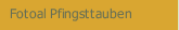 Fotoal Pfingsttauben