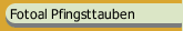 Fotoal Pfingsttauben